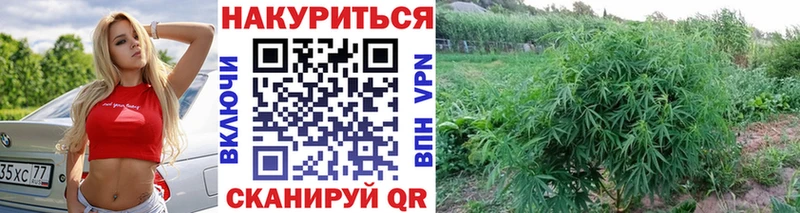 Купить закладку Щёкино Cocaine  Марихуана  блэк спрут маркетплейс  ГАШ  Мефедрон 