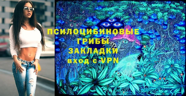 стафф Белокуриха