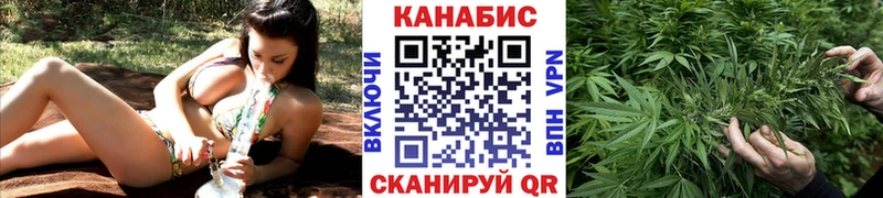 Шишки марихуана марихуана  omg вход  Щёкино 